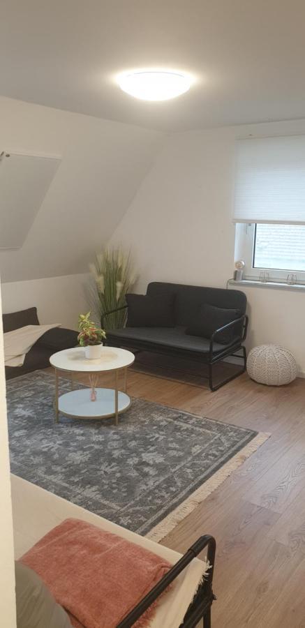 Frisch Renoviert Mit Dachterrasse - Geniesse Ruhe Und Gruen Nahe Neustadt Aisch Neustadt an der Aisch Exterior foto